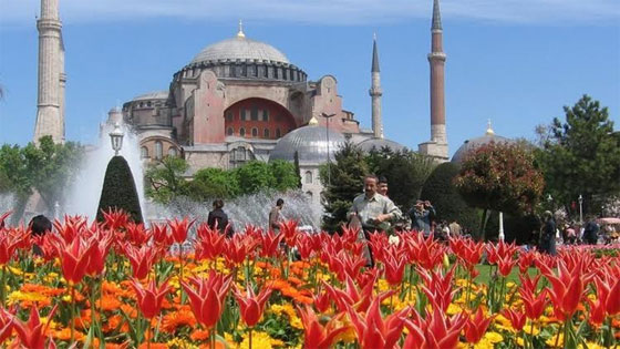 زهرة التوليب.. مهرجان يملأ اسطنبول ازهارا وفرحا صورة رقم 5