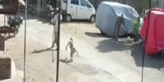 القرد الغادر يضرب في الظهر.. شاهد الفيديو صورة رقم 2