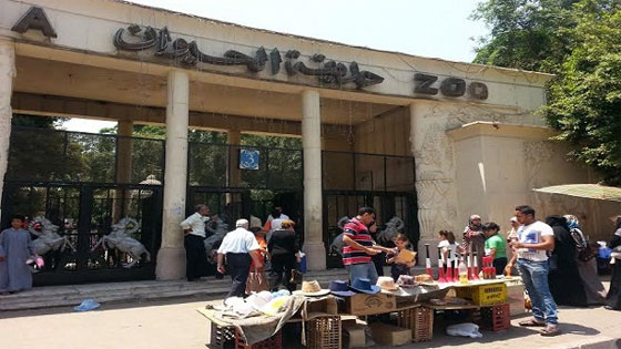 صور معالم مصرية سابقا وحاليا منها الجامع الازهر وقصر الجوهرة صورة رقم 6 صور معالم مصرية سابقا وحاليا منها الجامع الازهر وقصر الجوهرة صورة رقم 6