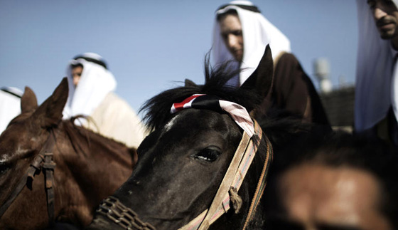 ما العلاقة بين قصص الأميرات والأعراس وعربات الخيل في أقاصي الأرض؟ صورة رقم 3