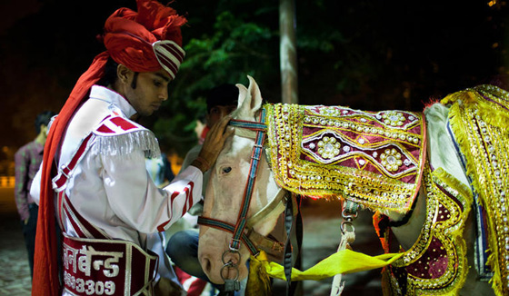 ما العلاقة بين قصص الأميرات والأعراس وعربات الخيل في أقاصي الأرض؟ صورة رقم 6