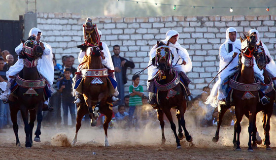 ما العلاقة بين قصص الأميرات والأعراس وعربات الخيل في أقاصي الأرض؟ صورة رقم 9
