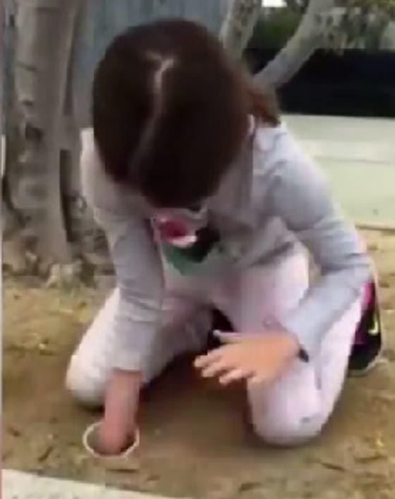 شاهد كيف انقذت طفلة صغيرة مجموعة من البط.. لحظة اثر لحظة صورة رقم 1