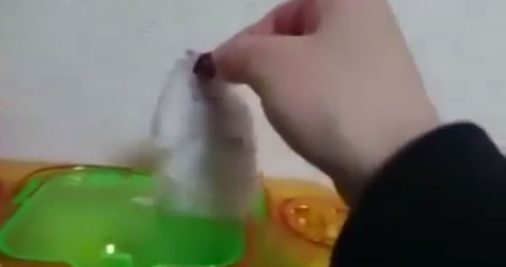فيديو طريف.. فار صغير يتمرد على صاحبه ويرفض الاذلال لهذا السبب صورة رقم 2