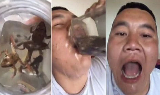 فيديو مقزز.. رجل يأكل الاسماك والضفادع حيّة صورة رقم 1 فيديو مقزز.. رجل يأكل الاسماك والضفادع حيّة صورة رقم 1
