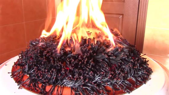 شاب يحتفل بميلاده بكعكة من الكبريت.. كم هي مشهية! شاهد  صورة رقم 4