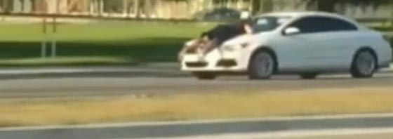 شوارع ميامي تشهد حدثا غريبا طريفا.. سيارة تحمل رجلا على مقدمتها صورة رقم 4