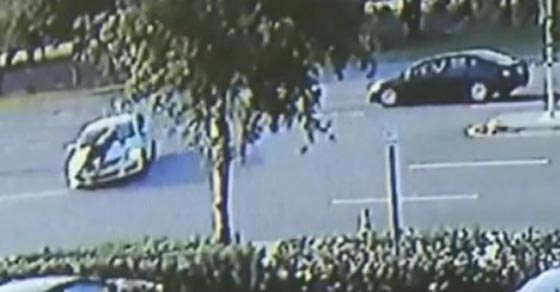 شوارع ميامي تشهد حدثا غريبا طريفا.. سيارة تحمل رجلا على مقدمتها صورة رقم 2