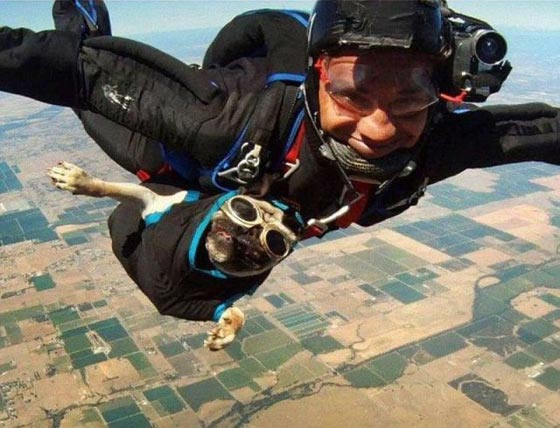 صور مضحكة او محرجة ندم أصحابها لموافقتهم على تصويرهم!! صورة رقم 10