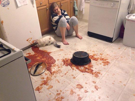 صور مثيرة.. نشطاء مواقع التواصل الاجتماعي ينشرون اسوأ كوارثهم صورة رقم 11