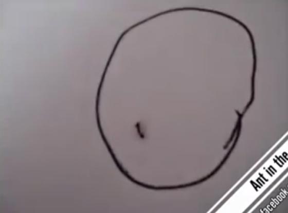فيديو طريف.. نملة محاصرة داخل رسم دائرة شاهدها الملايين صورة رقم 2