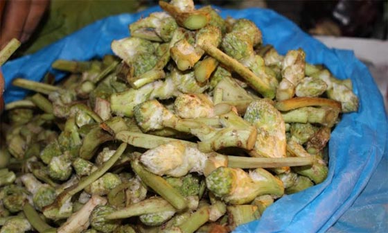 العكوب: اكلة فلسطينية شهية من أعالي الجبال لموائد رمضان صورة رقم 3