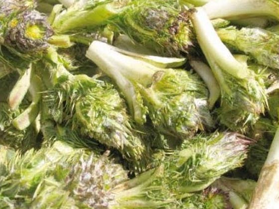 العكوب: اكلة فلسطينية شهية من أعالي الجبال لموائد رمضان صورة رقم 4