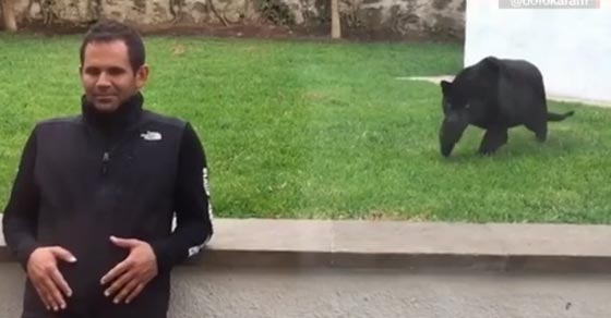 فيديو يشغل العالم.. شاهد ما فعله نمر اسود باغت رجلا من الخلف صورة رقم 1 فيديو يشغل العالم.. شاهد ما فعله نمر اسود باغت رجلا من الخلف صورة رقم 1