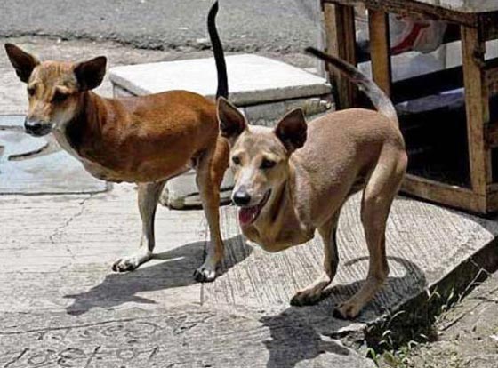 عشر صور وعشر قصص.. اغرب من الفوتوشوب!! صورة رقم 2 عشر صور وعشر قصص.. اغرب من الفوتوشوب!! صورة رقم 2