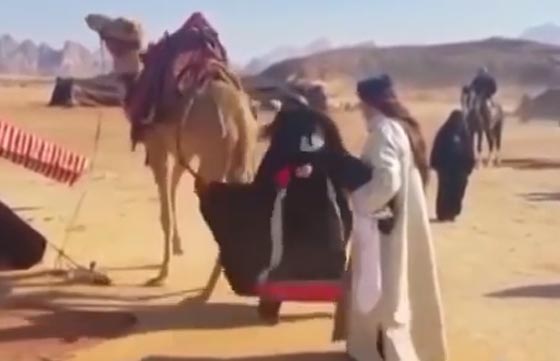 فيديو طريف.. جمل يركل ممثلة اثناء تصوير مسلسل بسبب صراخها صورة رقم 1