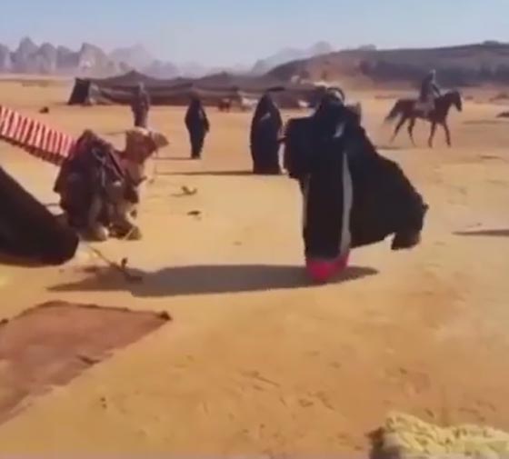 فيديو طريف.. جمل يركل ممثلة اثناء تصوير مسلسل بسبب صراخها صورة رقم 2