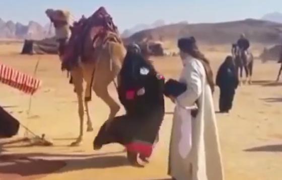 فيديو طريف.. جمل يركل ممثلة اثناء تصوير مسلسل بسبب صراخها صورة رقم 3