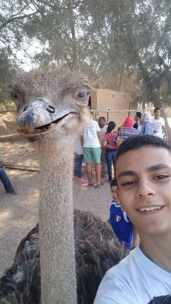 صور سيلفي تمطر شركة مصرية اعلنت عن جائزة لاغرب صورة صورة رقم 10 صور سيلفي تمطر شركة مصرية اعلنت عن جائزة لاغرب صورة صورة رقم 10