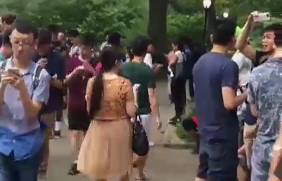 بوكيمون غو متهم بخرق الخصوصية الشخصية صورة رقم 4