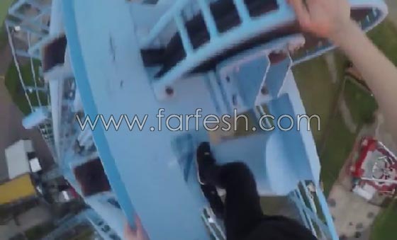 شاهد كيف تسلق شاب متهور افعوانية بيدين فارغتين صورة رقم 1