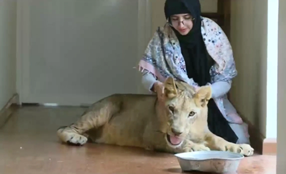 السعودية روزانا.. ملاك تربي أسداً صورة رقم 3