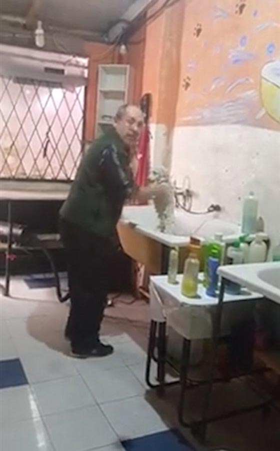 فيديو وصور.. 4 ملايين شاهدوا رقصة الكلب مع صاحب صالون الحلاقة صورة رقم 5 فيديو وصور.. 4 ملايين شاهدوا رقصة الكلب مع صاحب صالون الحلاقة صورة رقم 5