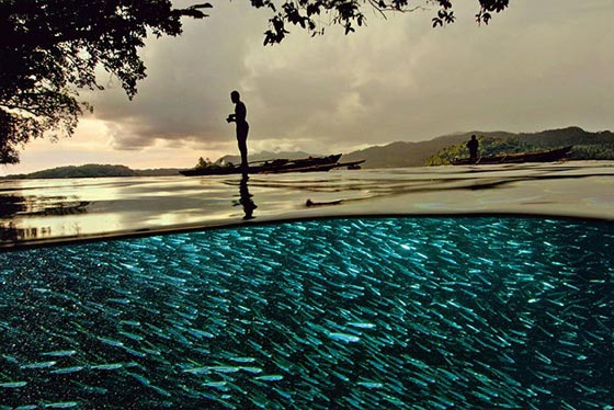  اغرب صور حقيقية بدون فوتوشوب.. مذهلة فعلا! صورة رقم 12