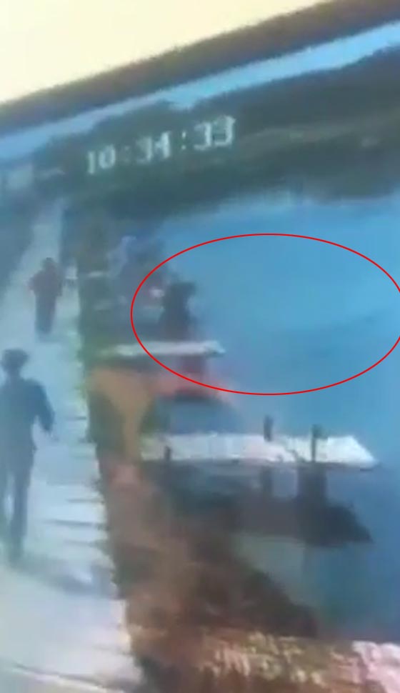فيديو 'طريف: سمكة تتغلب على الصياد وتجذبه داخل الماء صورة رقم 2 فيديو 'طريف: سمكة تتغلب على الصياد وتجذبه داخل الماء صورة رقم 2