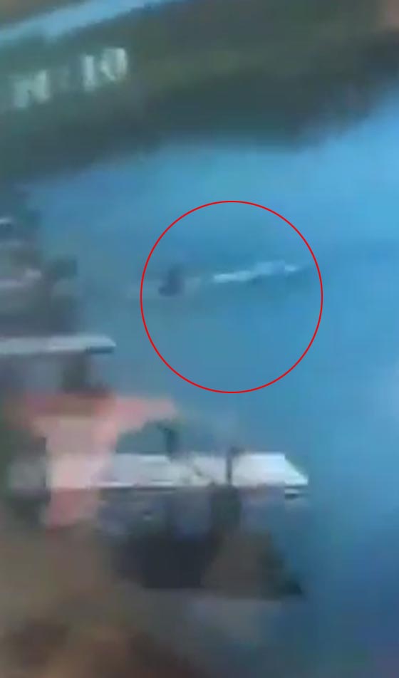فيديو 'طريف: سمكة تتغلب على الصياد وتجذبه داخل الماء صورة رقم 3 فيديو 'طريف: سمكة تتغلب على الصياد وتجذبه داخل الماء صورة رقم 3