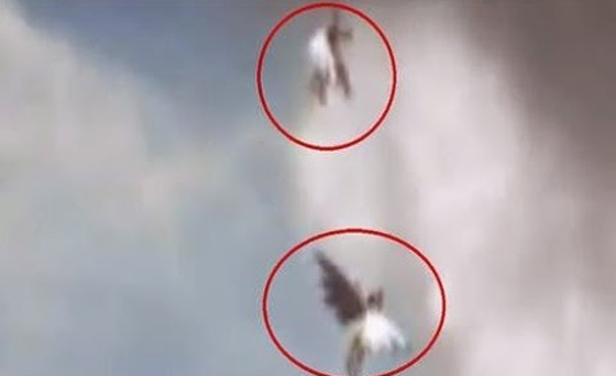 فيديو لملائكة تطير في الهواء في 10 مقاطع.. هل تصدقها؟! صورة رقم 4