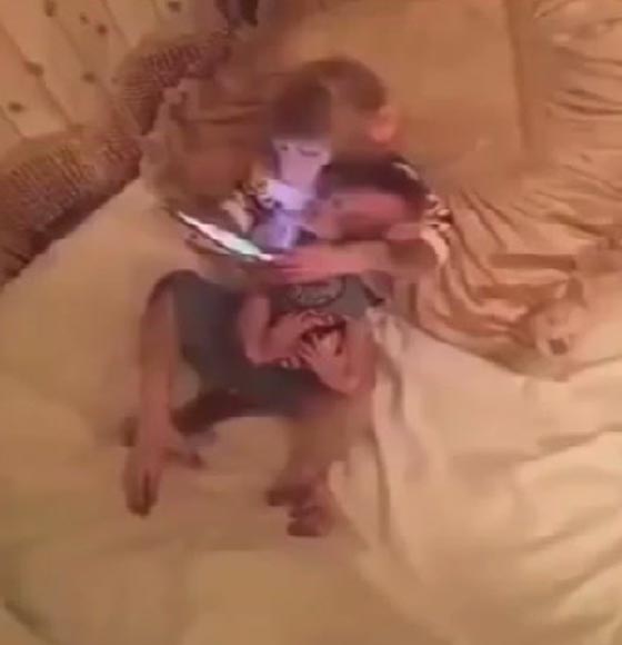 فيديو مذهل: قرد يحضن ابنه ويعلمه كيف يستخدم الكمبيوتر! صورة رقم 1