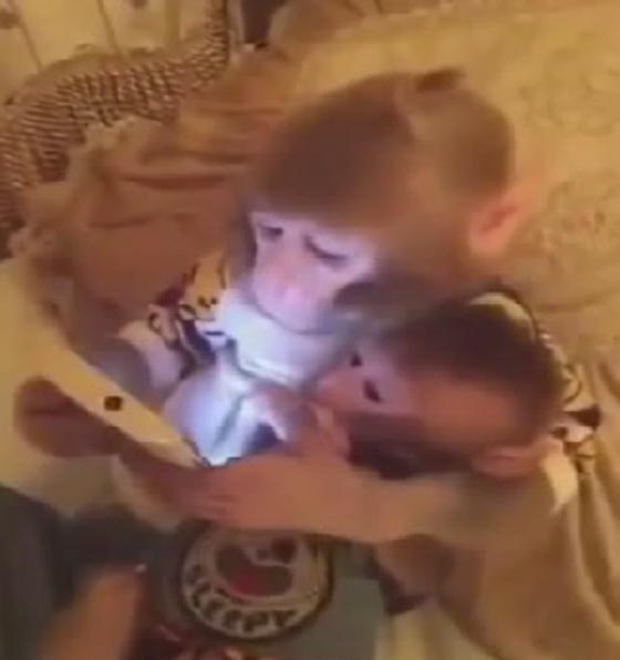 فيديو مذهل: قرد يحضن ابنه ويعلمه كيف يستخدم الكمبيوتر! صورة رقم 2