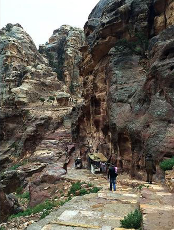 البتراء الاردنية.. ارث سياحي عالمي نادر يعاني من تراجع اهتمام الزائر صورة رقم 5