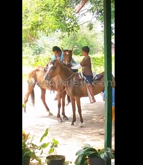 فيديو طريف.. سقوط مضحك لرجل حاول ركوب حصان صورة رقم 1