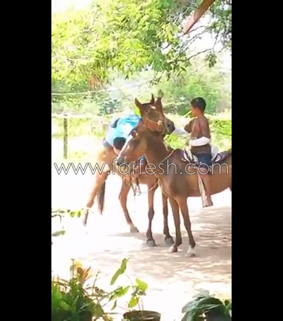 فيديو طريف.. سقوط مضحك لرجل حاول ركوب حصان صورة رقم 2