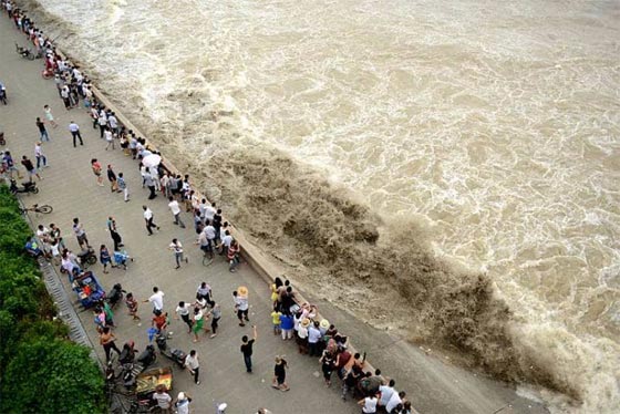 صور مذهلة لظاهرة التنين الفضي على ضفة نهر في الصين صورة رقم 2 صور مذهلة لظاهرة التنين الفضي على ضفة نهر في الصين صورة رقم 2