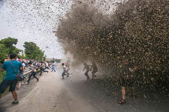 صور مذهلة لظاهرة التنين الفضي على ضفة نهر في الصين صورة رقم 9 صور مذهلة لظاهرة التنين الفضي على ضفة نهر في الصين صورة رقم 9