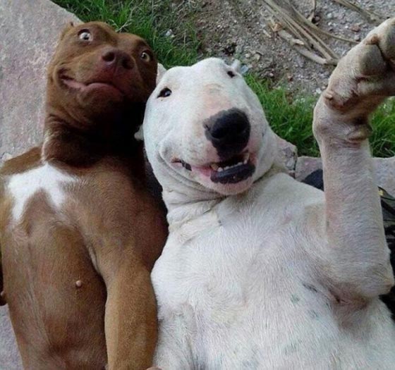 هذه هي أجمل 22 صورة سيلفي اختيرت للعام 2016 صورة رقم 3