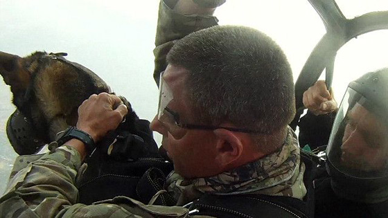 فيديو طريف: كلاب مكافحة الصيد تتعلم القفز بالمظلات وتهبط من السماء! صورة رقم 1