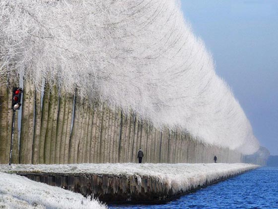 اجمل صور غريبة تم التقاطها في اللحظة المناسبة: لن تصدق أنها حقيقية  صورة رقم 19
