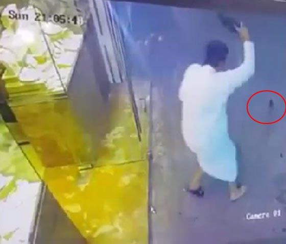 فيديو طريف لصاحب محل مجوهرات يطارد فأرا وهو بحالة هلع صورة رقم 4