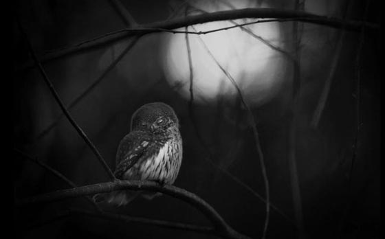 اجمل صور تظهر سحر الطبيعة الرائعة لعام 2016 صورة رقم 7 اجمل صور تظهر سحر الطبيعة الرائعة لعام 2016 صورة رقم 7