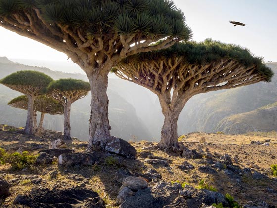  صور رائعة لمعالم سياحية تبدو خيالية من كوكب آخر صورة رقم 8