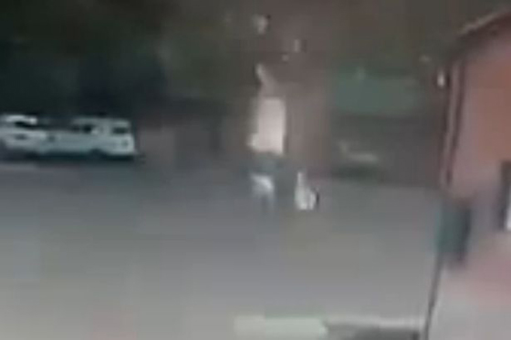 فيديو صادم.. صاعقة برق تصيب امرأة في الشارع وتطرحها ارضا صورة رقم 2 فيديو صادم.. صاعقة برق تصيب امرأة في الشارع وتطرحها ارضا صورة رقم 2