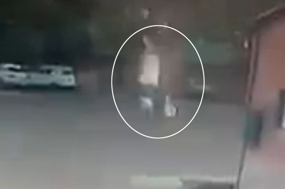 فيديو صادم.. صاعقة برق تصيب امرأة في الشارع وتطرحها ارضا صورة رقم 1 فيديو صادم.. صاعقة برق تصيب امرأة في الشارع وتطرحها ارضا صورة رقم 1
