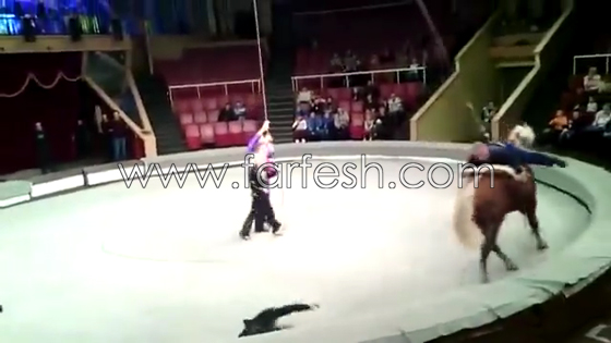 رجل سكران يحرج زوجته وهو يركب الحصان في السيرك.. فيديو صورة رقم 2