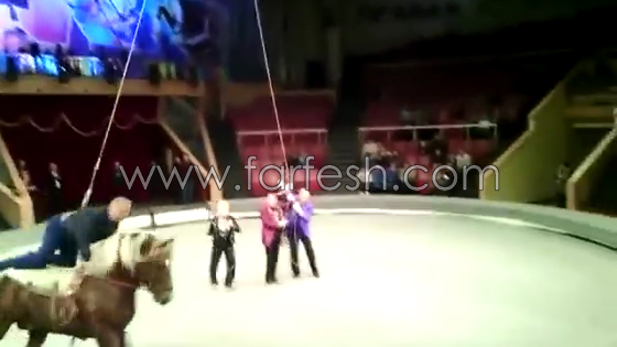 رجل سكران يحرج زوجته وهو يركب الحصان في السيرك.. فيديو صورة رقم 3