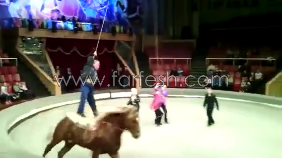 رجل سكران يحرج زوجته وهو يركب الحصان في السيرك.. فيديو صورة رقم 4
