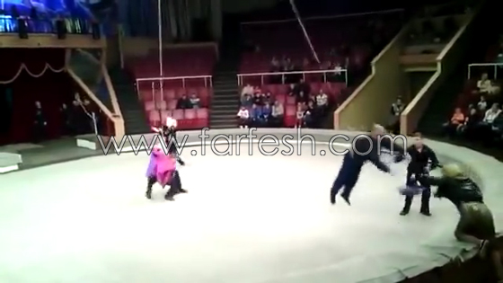 رجل سكران يحرج زوجته وهو يركب الحصان في السيرك.. فيديو صورة رقم 5
